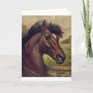 Pferdefarm Ranch Reitsport Western Pferdesport Hau Karte