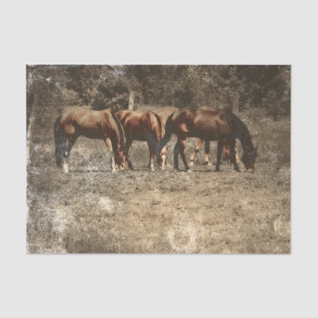 Pferdefarm Vintag Land Rustikaler Western Seidenpapier (Vorderseite)