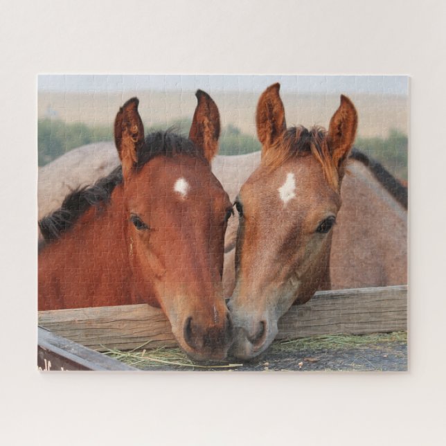 Pferdefoals Puzzle (Horizontal)
