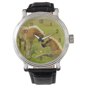 Pferdefohlen Armbanduhr