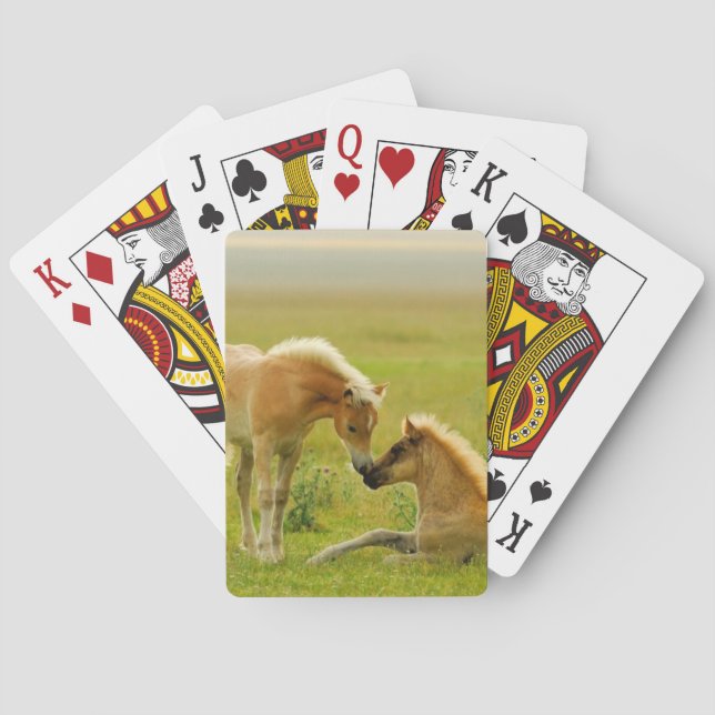 Pferdefohlen Spielkarten (Rückseite)