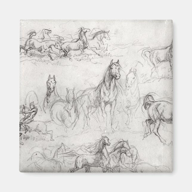 Pferdeforschung Magnet (Vorne)