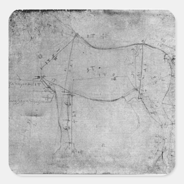 Pferdeforschung Quadratischer Aufkleber (Vorderseite)