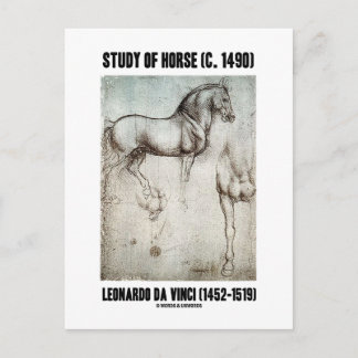 Pferdeforschung (um 1490) Leonardo da Vinci Postkarte