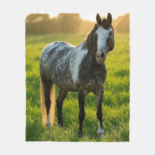 Pferdefoto anpassen und personalisieren fleecedecke