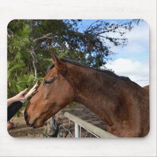 Pferdefreund für immer, Mousepad