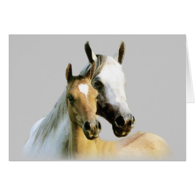 Pferdefreund-Karte (Vorderseite (Horizontal))