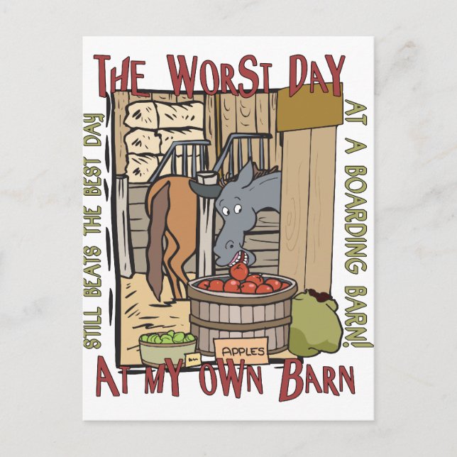 Pferdefreunde Geschenke Postkarte (Vorderseite)