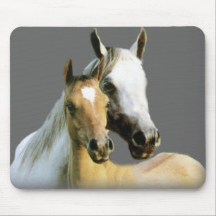 Pferdefreunde Mousepad