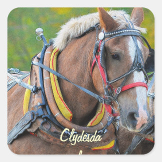 Pferdefreunde Pferdedesign Quadratischer Aufkleber
