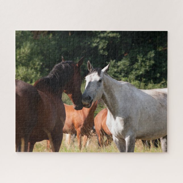 Pferdefreunde Puzzle (Horizontal)