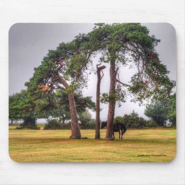 Pferdefreund's schönes Pferdedesign Mousepad (Vorne)