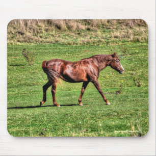 Pferdefreund's schönes Pferdedesign Mousepad