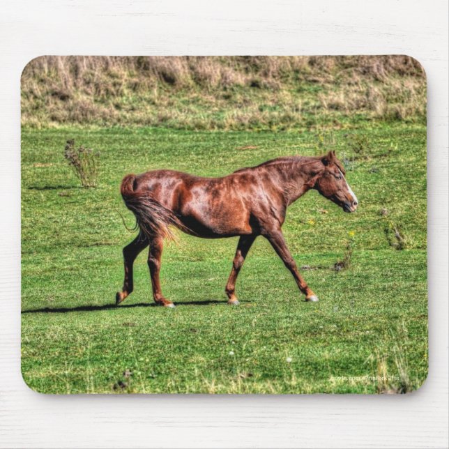 Pferdefreund's schönes Pferdedesign Mousepad (Vorne)