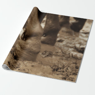 Pferdefüße Western Vintage Sepia Braun Rustikal Geschenkpapier