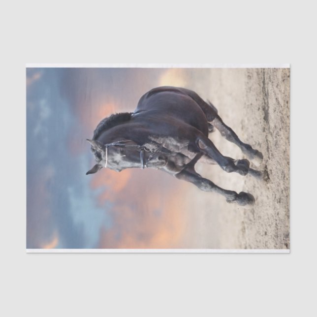 Pferdegaloppieren Seidenpapier (Vorderseite)