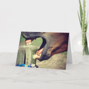 Pferdegegähne, der Vatertag Karte