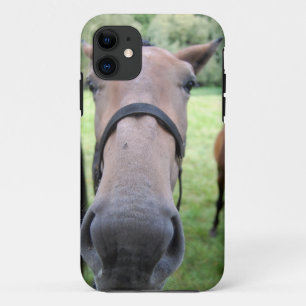 Pferdegesicht iPhone 11 Hülle