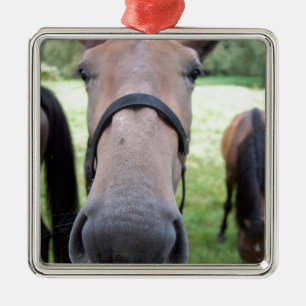 Pferdegesicht Silbernes Ornament