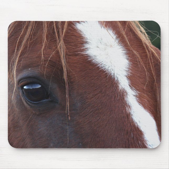 Pferdegesichts-Nahaufnahme Mousepad (Vorne)