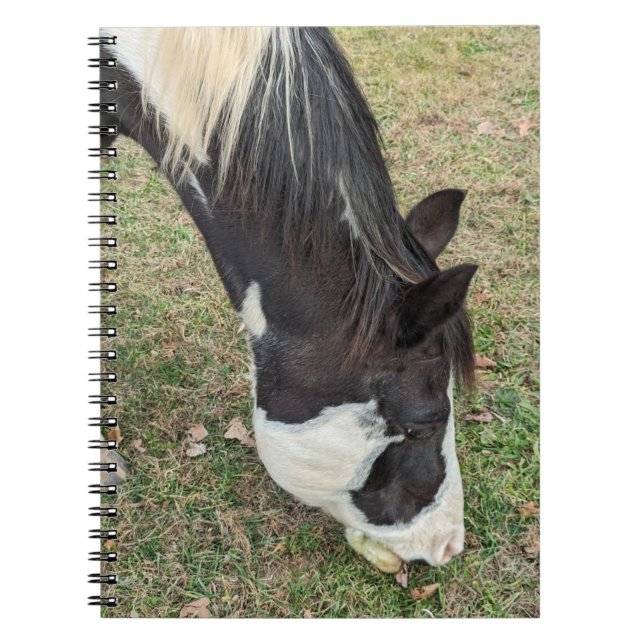 Pferdeheft Notizblock (Vorderseite)