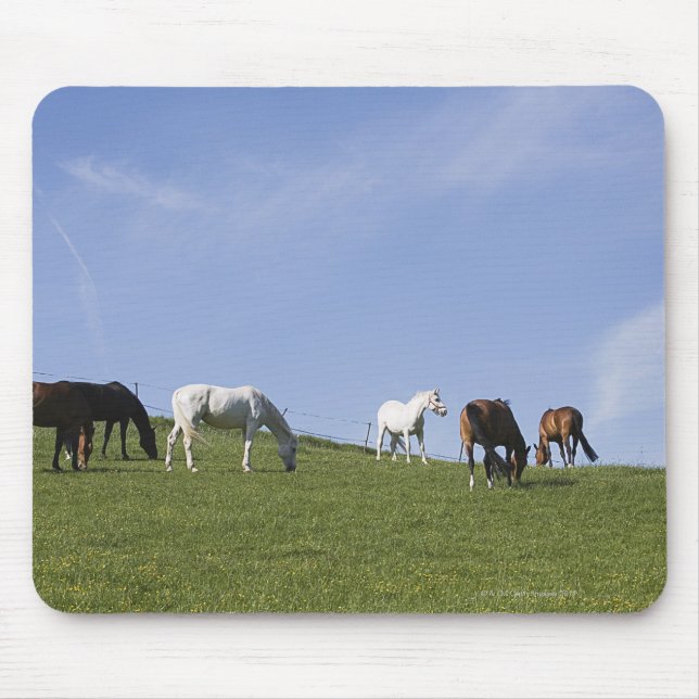 Pferdeherde auf der Wiese Mousepad (Vorne)
