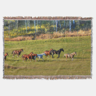 Pferdeherde auf einem BC Ranch-Foto 4 Decke