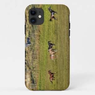 Pferdeherde, die auf einer BC Ranch laufen Case-Mate iPhone Hülle