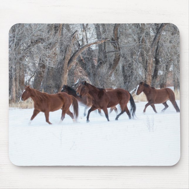 Pferdeherde, die in Winterschnee laufen Mousepad (Vorne)