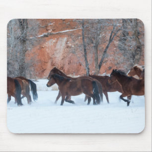 Pferdeherde im Schnee Mousepad