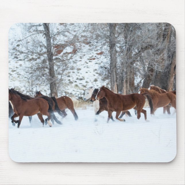 Pferdeherde im Schnee Mousepad (Vorne)