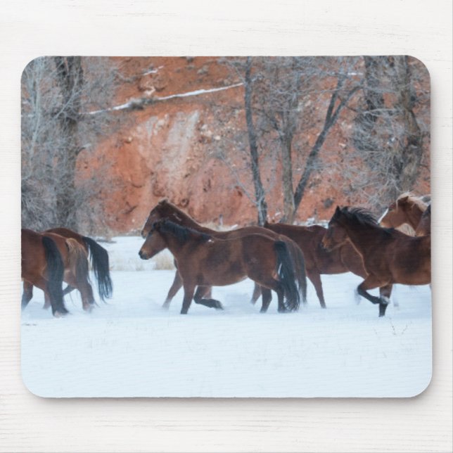 Pferdeherde läuft im Schnee Mousepad (Vorne)