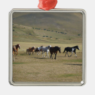 Pferdeherde Silbernes Ornament