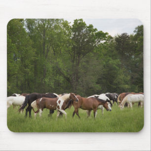 Pferdeherde, Tennessee Mousepad