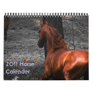 Pferdekalender 2011 kalender