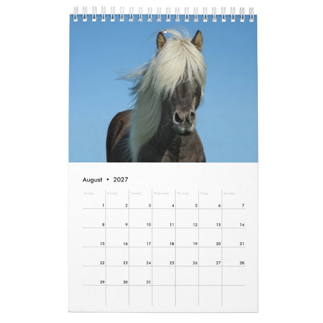 Pferdekalender 2017 kalender (Aug 2027)