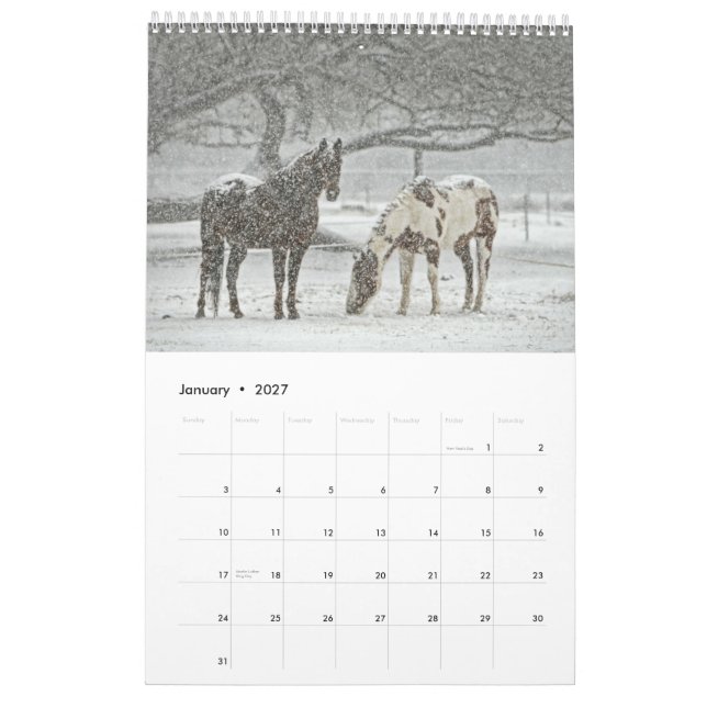 Pferdekalender 2017 kalender (Jan 2027)