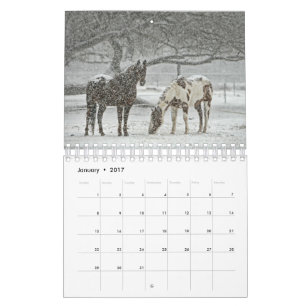 Pferdekalender 2017 kalender
