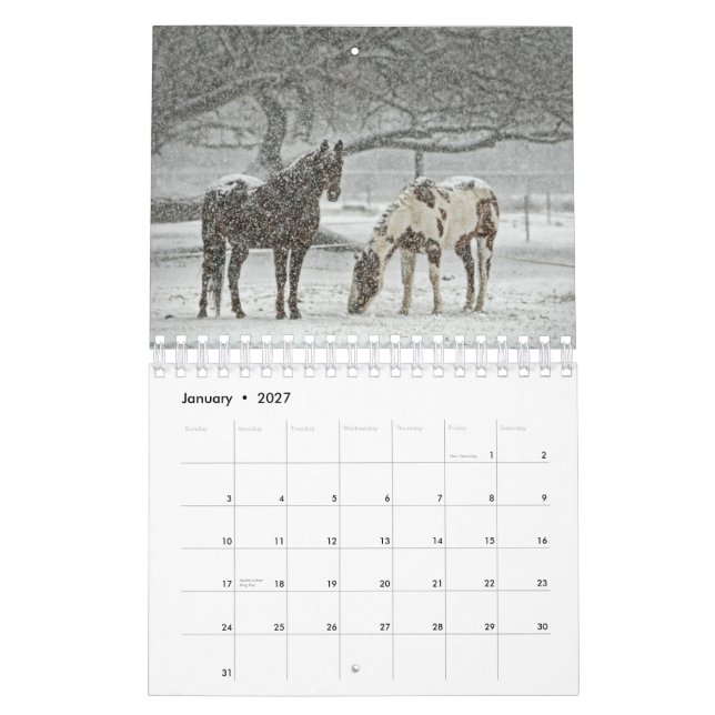 Pferdekalender 2017 kalender (Jan 2027)
