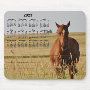 Pferdekalender 2023 von Janz Mousepad