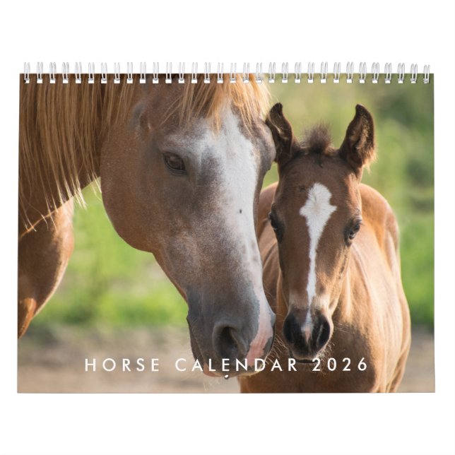 Pferdekalender 2026 mit Fotos Kalender (Titelbild)