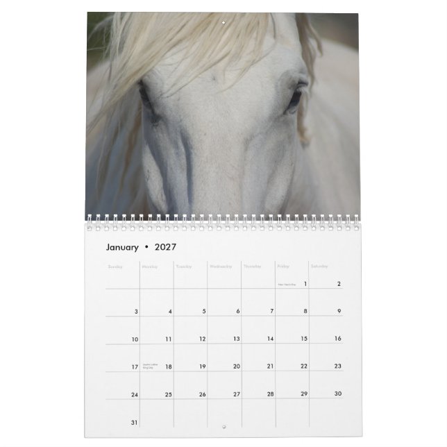 Pferdekalender des Entwurfs-#1 Kalender (Jan 2027)