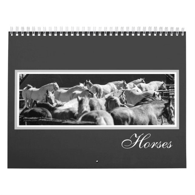 Pferdekalender Kalender (Titelbild)