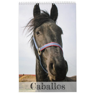 Pferdekalender... Kalender