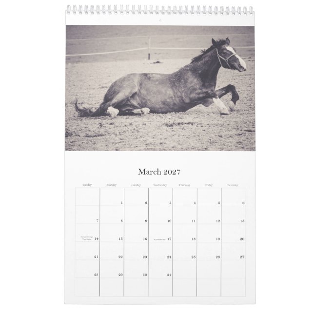 Pferdekalender... Kalender (Mär 2027)