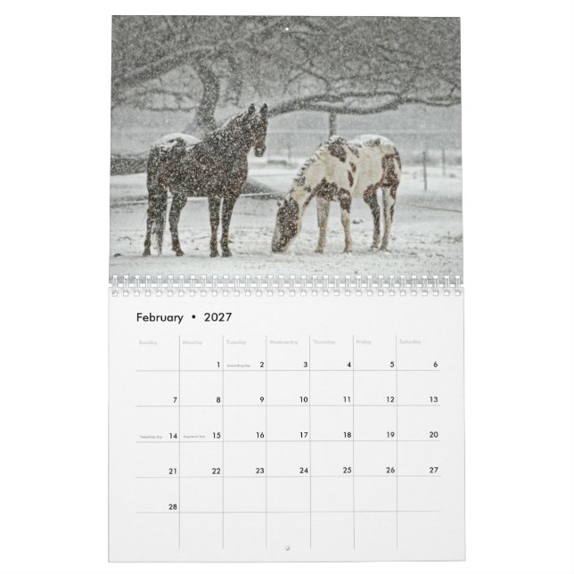 Pferdekalender Kalender (Feb 2027)
