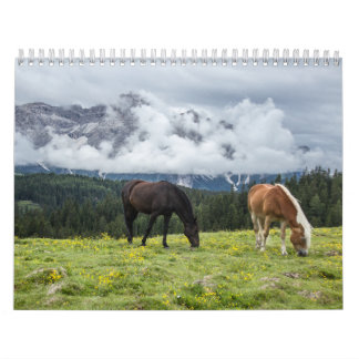 Pferdekalender Kalender