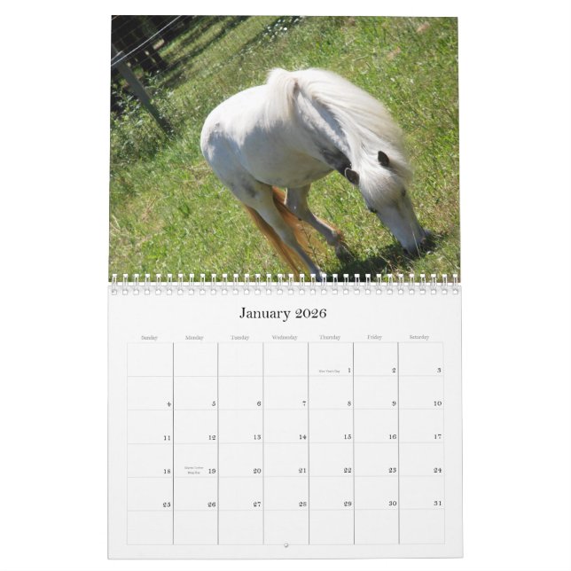 Pferdekalender Kalender (Jan 2026)