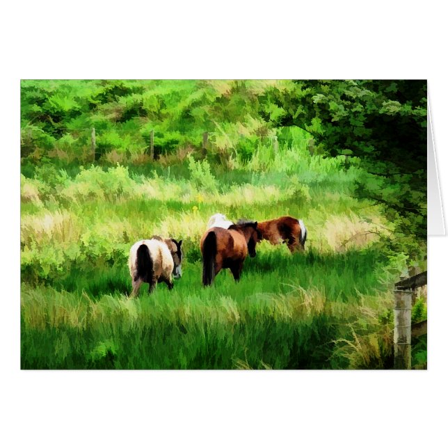 PFERDEKARTE (Vorderseite (Horizontal))