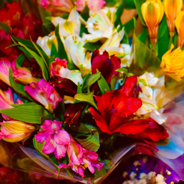 Pferdekochbox Metall Brotdose (floral beauty)